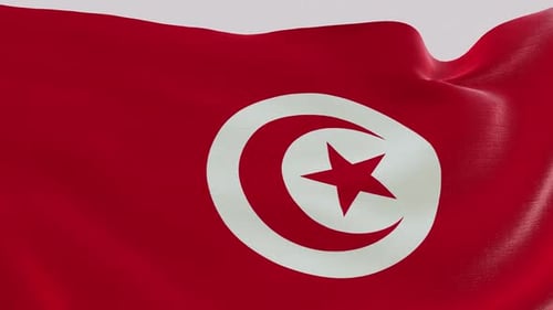 Realistic Waving Flag of Tunisia Seamless Loop Animation