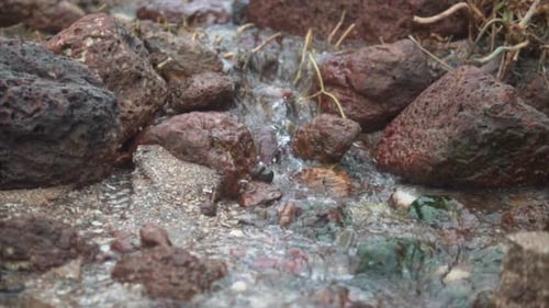 Water serenely flowing over medium size brown rocks and green buried rocks making them visible to th