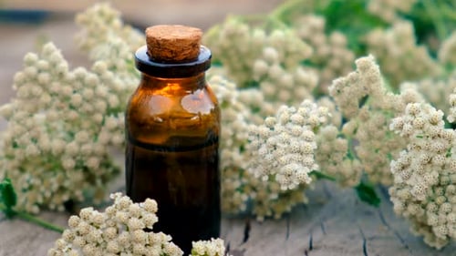 Dark Bottle Surrounded by Yarrow Flowers Close Up