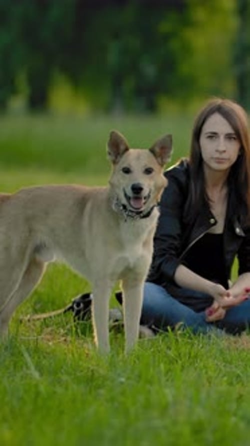 Woman with Dog in Grassy Rural Setting