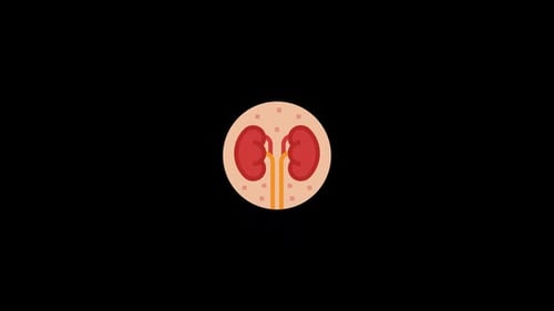 Smart Kidney Management