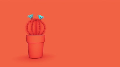 Cactus Orange