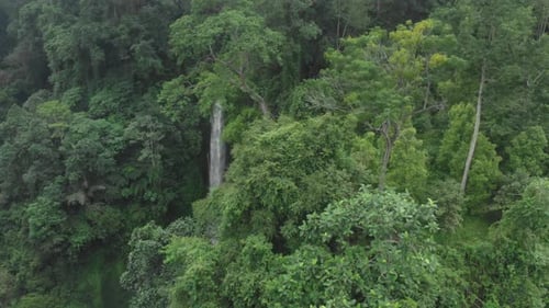 Amazing waterfall hidden in tropical rainforest jungle on nature background