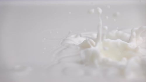 Goutte de lait frais tombant et éclaboussant dans une piscine laiteuse versant du lait au ralenti