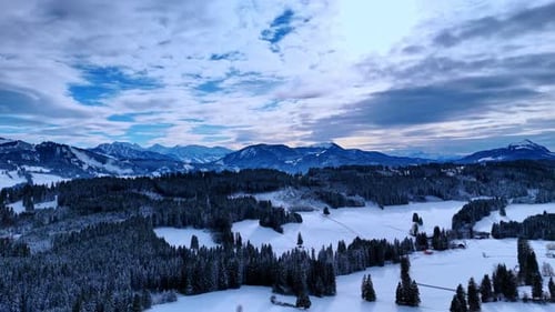 Meadows in the pine-tree woods covered with beautiful snow. Striking mountains range at backdrop.