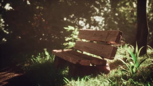 An Old Bench Standing Under an Old Tree in a Park