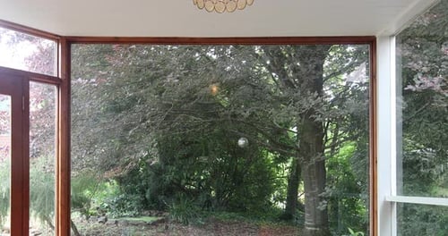 Plan fixe d'un salon avec un arbre qui souffle doucement dans le vent.
