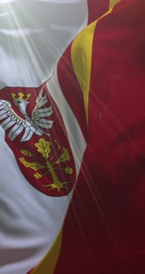 Waving Realistic Flag with Stylized Coat of Arms Vertical Background