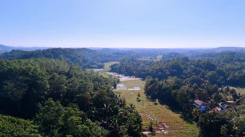 Meadow among the tropical forests on sunny day. Agricultural fields flooded with water in Sri Lanka,