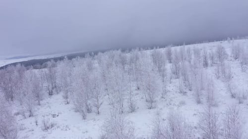 Flying Above Misty Frozen Countryside and Forest. Foggy Cloudy Aerial View