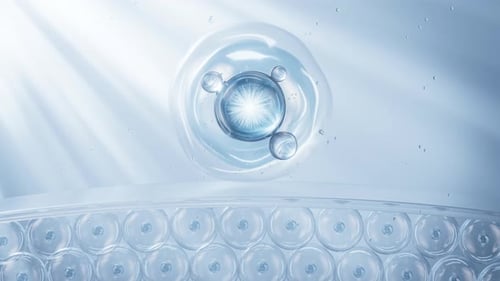 Microscopic Cell and Active Molecule Fluid Animation