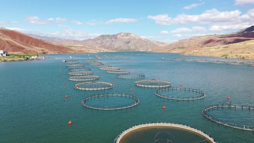 Aerial View Of Fish Ponds And Coastal Mountains In The Dam Lake 3