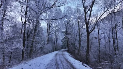A low-flying drone moving backward through a snow-covered forest road, capturing the serene winter l