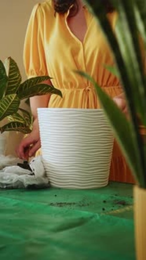 Woman Repotting Plant at Home