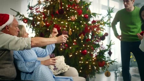 Family Celebrating Christmas With Decorated Tree and Toast