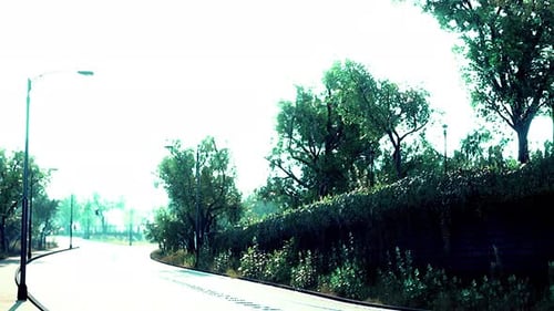 Foto da estrada pelo meio da floresta