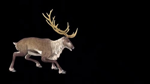 Reindeer Attack Idle