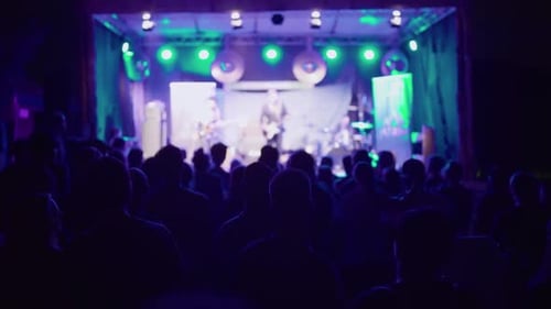 Back view of a crowd of people dancing and moving to the music at a concert of a small outdoor festi