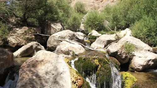 Aerial View Of River Rocks And Trees
