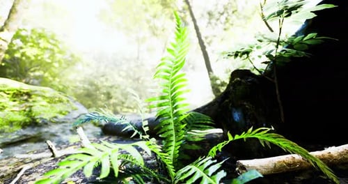 Lush Greenery Emerges From the Forest Floor Capturing Sunlight in the Wild