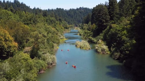 Aerial view of kayakers paddling down river in remote wilderness location. Russian River, California