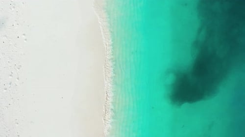Aerial View of Sandy Beach and Ocean Nature with Waves