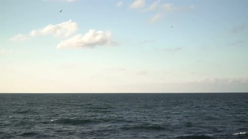 Sea During the Day Cold Sea in Windy Weather