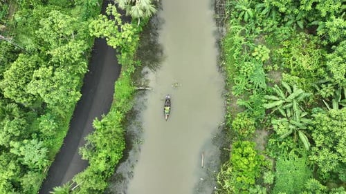 Vue aérienne du jardin de goyaves à Swarupkathi, Pirojpur, Bangladesh.