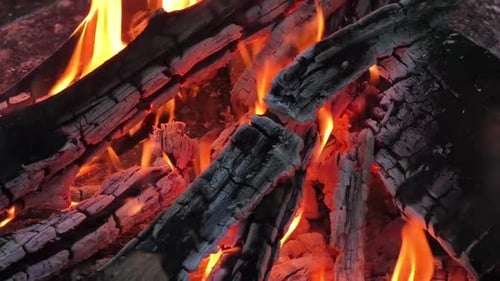 Blazing Wood Fire Transition