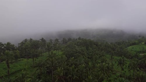 Drone's View Of Fog-enveloped Lush Landscapes