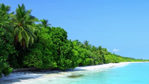 Tropical Island in Indian Ocean Wild and Uninhabited Coast with Palm Trees