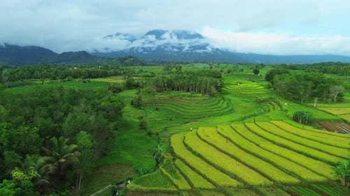 Wunderschöner Blick auf den Morgen, Indonesien, Panoramalandschaft, Wald mit Schönheit, Farbe und Himmel, natürlichem Licht