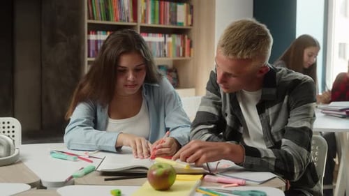 Kaukasische Klassenkameraden Gymnasiasten Bildung Universitätsstudenten Männlich Weiblich Mädchen Kerl