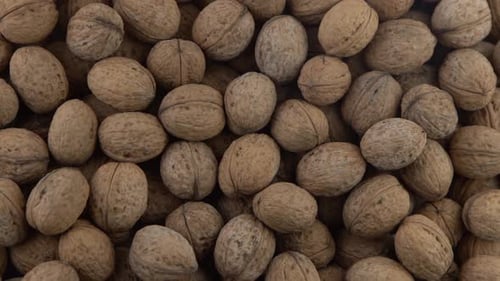 Walnut in Shell Background View From Above Healthy Food Top View