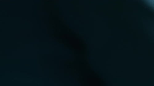 Woman Browsing Clothing on Rack at Boutique