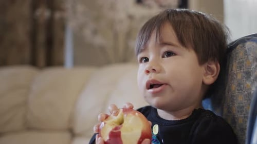 Child Eating Red Apple in High Chair Indoors