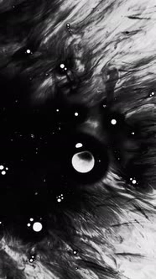 Black Ink Spreading on White Surface, Abstract Art