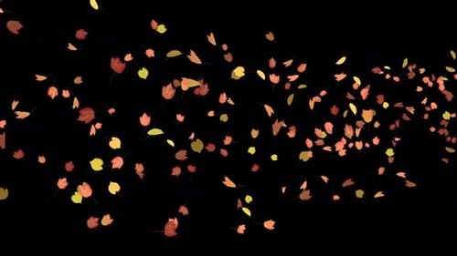 Buntes Herbstlaub - Windy Flying Spurt Jet Transition - I - Alpha Channel