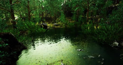 Serene Forest Pond Surrounded By Lush Greenery with Gentle Rain