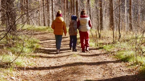 Children Enjoying a Nature Walk in a Forest During Autumn in Bright Jackets