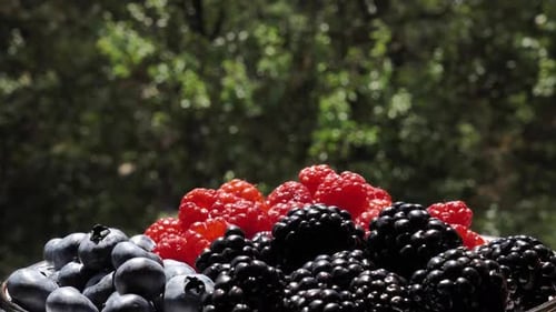 Bowl of Fresh Blackberries, Blueberries, and Raspberries