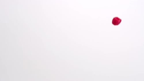 Bright Red Raspberries Falling in Slow Motion