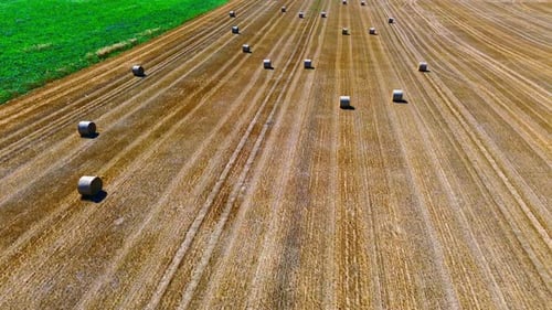 Aerial view of rural German hay field with scattered hay bales during harvest season