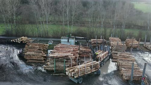 The Logging Industry in Motion: An Aerial View of a Truck Unloading and Sorting Timber at a German S