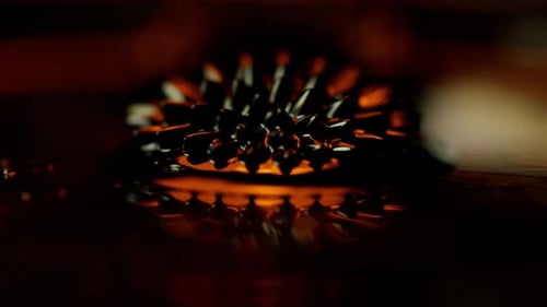 Magnetic Liquid In Orange Colored Shade