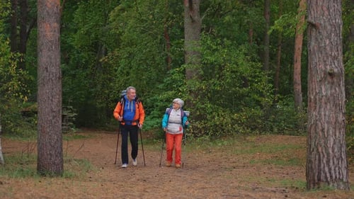 Hiking Tourism Adventure Senior Couple Man Woman Enjoying Outdoor Recreation Hiking in Forest Happy