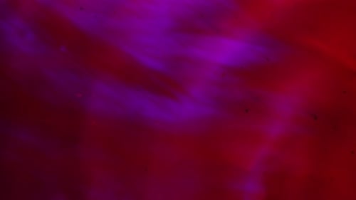 Lebendige rote und blaue Tinte, die sich langsam in transparentem Wasser unter abstraktem Neonhintergrund bewegt und vermischt
