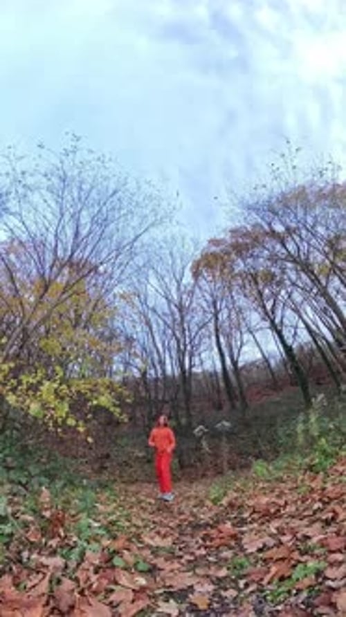 Man Performing Acrobatics in Forest on Autumn Day