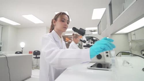 Scientists work in laboratory using microscope and various samples to conduct research