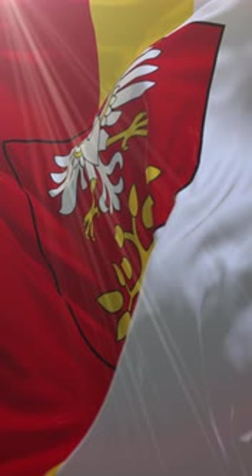 Realistic Waving Flag with Stylized Eagle and Branch Emblem